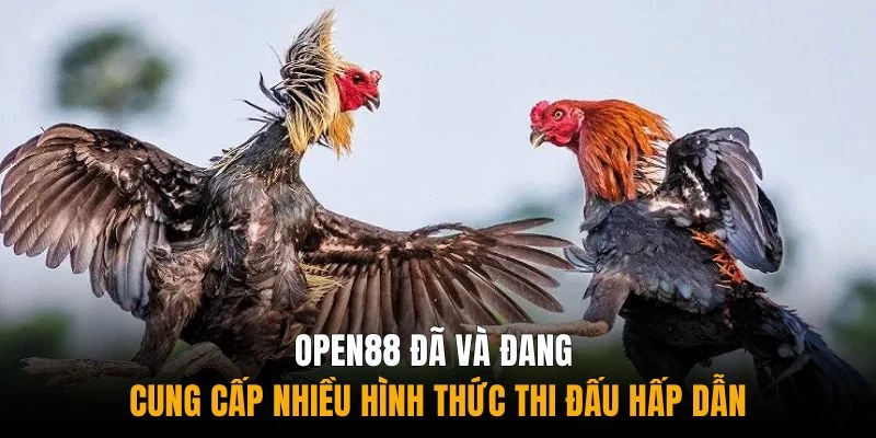 Open88 đã và đang cung cấp nhiều hình thức thi đấu hấp dẫn